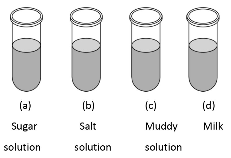 Pick out a colloid from the following
